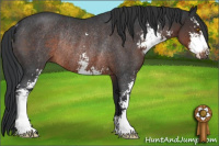 Horse Color:Brown Roan Sabino Rabicano 