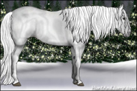 Horse Color:Gray Brown Sabino 