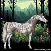 Horse Color:Silver Blue Roan Splash Tobiano and Silver Blue Roan Splash Tobiano