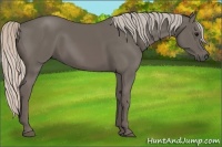 Horse Color:Silver Black 