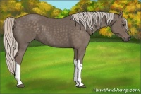 Horse Color:Silver Black 