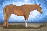 Horse Color:Chestnut  and Chestnut 