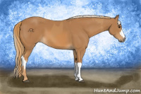 Horse Color:Chestnut  and Chestnut 