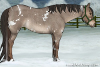 Horse Color:White Spotted Liver Red Dun Roan Brindle 