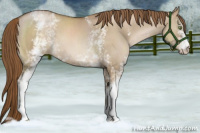 Horse Color:White Spotted Liver Red Dun Pearl Brindle 