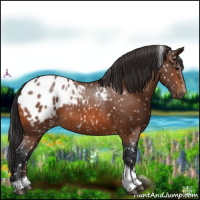 Horse Color:Bay Tobiano Snowflake Varnish