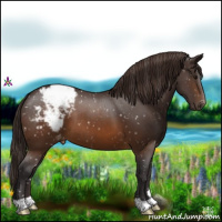 Horse Color:Buckskin Snowflake Varnish