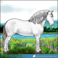 Horse Color:Bay Snowcap 