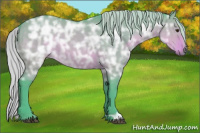 Horse Color:Watercolor Silver Buckskin Ice Dun Rabicano 