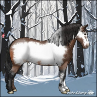 Horse Color:Bay Frame Appaloosa Rabicano 