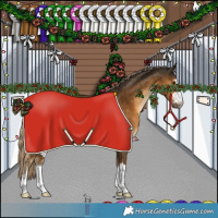 Horse Color:Chocolate Palomino 