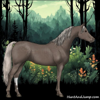 Horse Color:Silver Black 