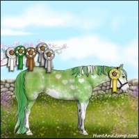 Horse Color:Watercolor Plaid  Liver Red Dun Sabino 