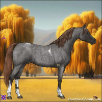 Horse Color:Liver Red Roan Tobiano 