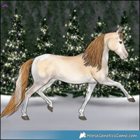 Horse Color:Red Dun Pearl Onyx Tobiano 