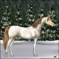 Horse Color:Bay Roan Pearl Dun Tobiano 
