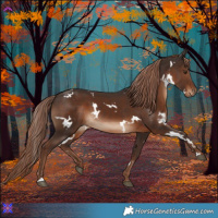 Horse Color:White Spotted Liver Chestnut 