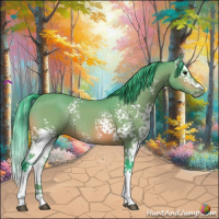 Horse Color:Watercolor White Spotted Bay Splash Rabicano