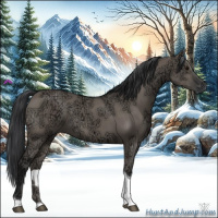 Horse Color:Grullo Ice Tobiano 