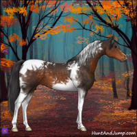 Horse Color:Buckskin Tobiano 