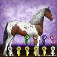 Horse Color:Brown Tobiano