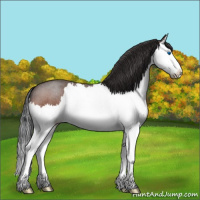 Horse Color:Brown Roan Splash 