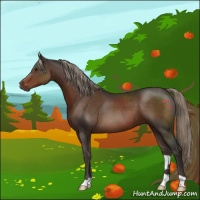 Horse Color:Liver Chestnut 
