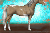 Horse Color:Silver Smoky Blue Roan Splash Tobiano  and Silver Smoky Blue Roan Splash Tobiano 
