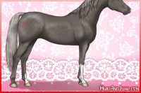 Horse Color:Silver Black 