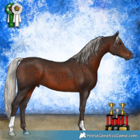 Horse Color:Silver Brown 