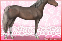 Horse Color:Silver Black 