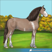 Horse Color:White Spotted Classic Champagne Tobiano 