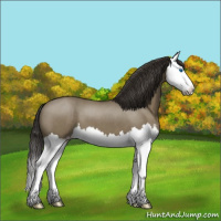 Horse Color:Smoky Grullo Roan Splash 