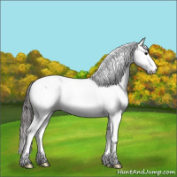 Horse Color:Smoky Grullo Roan Splash Tobiano 