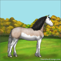 Horse Color:Brown Roan Dun Splash 