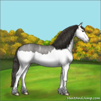 Horse Color:Smoky Black Ice Splash