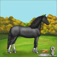 Horse Color:Blue Roan 