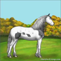 Horse Color:Black Ice Splash Tobiano 