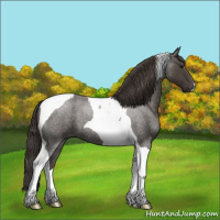Horse Color:Smoky Blue Roan Tobiano 