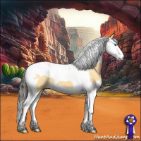 Horse Color:Buckskin Dun Splash Tobiano 