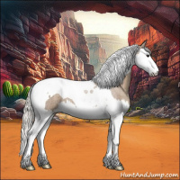 Horse Color:Silver Grullo Roan Splash Tobiano