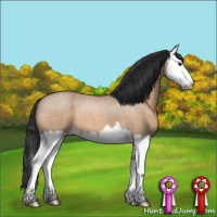 Horse Color:Bay Roan Dun Splash