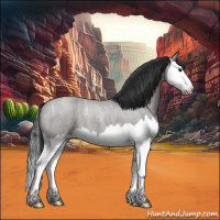 Horse Color:Grullo Ice Roan Splash 