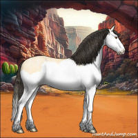 Horse Color:Buckskin Ice Dun Splash 