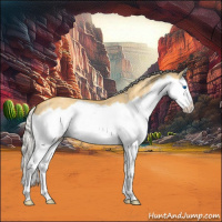 Horse Color:Silver Buckskin Ice Dun Splash 