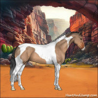 Horse Color:Brown Roan Dun Tobiano 