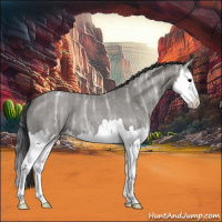 Horse Color:Grullo Ice Roan Splash 