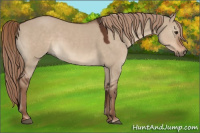 Horse Color:Liver Red Dun 