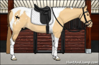 Horse Color:Buckskin Dun Tobiano Blanket Rabicano 