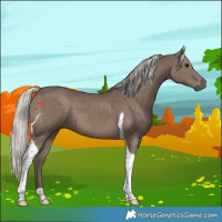 Horse Color:Silver Black Tobiano 